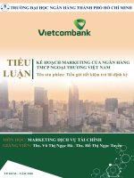 Tiểu luận Marketing dịch vụ tài chính