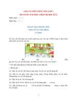 Giáo án môn tiếng việt lớp 2, học kì 2, bộ sách cánh diều ( chất lượng)