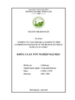 Khóa luận nghiên cứu tạo chồi địa lan kiếm tứ thời (cymbidium ensifolium) từ mô rễ bằng kỹ thuật nuôi cấy in vitro 