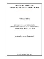 Luận văn Thạc sĩ Kinh tế: Tác động của cấu trúc sở hữu đến khả năng sinh lời của các ngân hàng thương mại cổ phần Việt Nam