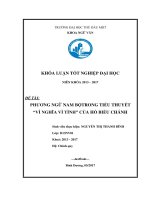 Phương ngữ nam bộ trong tiểu thuyết vì nghĩa vì tình của hồ biểu chánh 