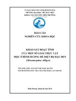 Khảo sát hoạt tính của một số loài thực vật mọc ở bình dương để diệt bọ đậu đen  