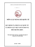 TIỂU LUẬN MÔN LUẬT HÀNG HẢI QUỐC TẾ QUY ĐỊNH CỦA PHÁP LUẬT QUỐC TẾ  VÀ PHÁP LUẬT VIỆT NAM VỀ BẢO VỆ MÔI TRƯỜNG BIỂN
