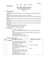 Chân trời sáng tạo   giáo án tiếng việt lớp 2   tuan 15 