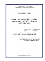 Luận văn thạc sĩ phát triển kinh tế tư nhân tại thành phố hồ chí minh đến năm 2025 