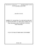Luận văn Thạc sĩ Khoa học lâm nghiệp: Nghiên cứu ảnh hưởng của cháy rừng đến đất và một số chỉ tiêu cấu trúc rừng Thông mã vĩ (Pinus massoniana Lamb.) tại huyện Tam Đảo, tỉnh Vĩnh