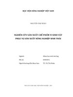 Nghiên cứu sản xuất chế phẩm vi sinh vật phục vụ sản xuất nông nghiệp sinh thái ( luận văn thạc sĩ  chuyên ngành khoa học môi trường) 