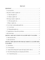 Điều kiện kết hôn trong luật hôn nhân và gia đình ở việt nam