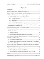 Tiểu luận chuyên đề tốt nghiệp phát triển cơ sở hạ tầng thương mại trên địa bàn thành phố đà nẵng 