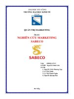 Tiểu luận nghiên cứu marketing sabeco 