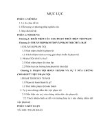 Tiểu luận các giai đoạn phạm tội   nguyễn trần anh tiến 