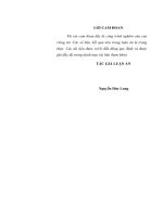 Luận án tiến sĩ tái cơ cấu tập đoàn kinh tế nhà nước ở việt nam hiện nay 