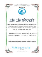 Phòng vệ chính đáng trong luật hình sự việt nam   lý luận và thực tiễn  