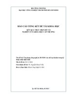 Ứng dụng công nghệ in 3d FDM vào chế tạo khuôn trong kỹ thuật nhiệt định hình 