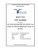 Kế toán doanh thu bán hàng tại công ty trách nhiệm hữu hạn an dương  