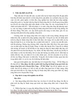 Tiểu luận Huy động vốn đầu tư phát triển hạ tầng kỹ thuật trong quá trình xây dựng nông thôn mới ở huyện Hòa Vang – TP Đà Nẵng