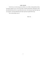 Tiểu luận tìm hiểu hoạt động dịch vụ du lịch và xây dựng chương trình dự báo lượng khách du lịch tại đảo tuần châu của công ty TNHH âu lạc quảng ninh 