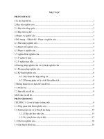 1 tác động của việc tham gia các hoạt động tình nguyện đối với sự hình thành kỹ năng giao tiếp và kỹ năng làm việc nhóm của sinh viên trường đại học thủ dầu một hiện nay  