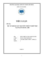 Tiểu luận dự án khảo sát nguyên nhân nghỉ việc tại ngân hàng ABC 