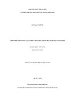 CẢM NHẬN HẠNH PHÚC CỦA THANH THIẾU NIÊN TRONG MỐI QUAN HỆ VỚI GIA ĐÌNH