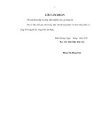 Nghiên cứu mô hình kháng lỗi trong dịch vụ hạ tầng điện toán đám mây 