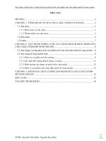 Tiểu luận xây dựng chiến lược và lập kế hoạch phát triển sản phẩm sữa chua đậu nành bổ sung inulin 