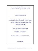 Luận văn thạc sĩ đánh giá tiềm năng đất để phát triển cây cà phê chè ở huyện hướng hoá tỉnh quảng trị 