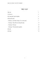 BÁO cáo THỰC tập tốt NGHIỆP tại CÔNG TY cổ phần dược phẩm danapha 