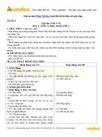 giao-an-mon-tieng-viet-lop-2-sach-ket-noi-tri-thuc-voi-cuoc-song