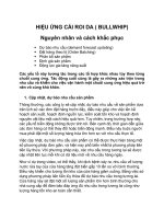 Hiệu ứng bullwhip  Nguyên nhân và cách khắc phục  Tài liệu môn Quản trị chuỗi cung ứng