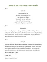 Bai-tap-tet-tieng-viet-1-sach-canh-dieu