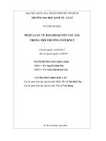 Tài liệu Pháp luật về bảo hộ quyền tác giả trong môi trường Internet