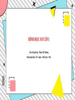 ppt bài tập hình học sơ cấp