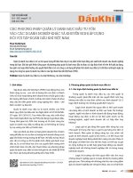 Các phương pháp quản lý danh mục đầu tư vốn vào các doanh nghiệp khác và khuyến nghị áp dụng đối với tập đoàn Dầu khí Việt Nam