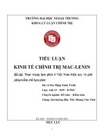 Tiểu luận Thực trạng lạm phát ở Việt Nam hiện nay và giải pháp kiềm chế lạm phát