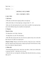 Giáo án Toán 6  Sách cánh diều  Số hocn