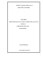 Giáo trình Trồng một số loài cây ăn quả có triển vọng tại Lào Cai (Nghề: Khuyến nông lâm) - Trường Cao Đẳng Lào Cai