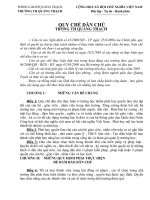 Quy che dan chu nam 20132014