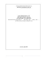 Giáo trình Hàn ống (Nghề: Cốt thép hàn) - Trường Cao Đẳng Lào Cai