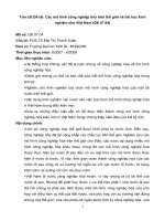 Tóm tắt đề tài  các mô hình công nghiệp hóa trên thế giới và bài học kinh  nghiệm cho việt nam (QK 07 04)