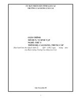 Giáo trình Vi sinh vật (Nghề: Thú y) - Trường CĐ Cộng động Lào Cai