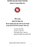 Tiểu luận Nguồn gốc bản chất của lợi nhuận trong nền kinh tế thị trường ở việt nam