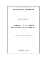 Luận văn phân tích và dự báo tài chính công ty cổ phần sonadezi châu đức 