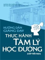 HƯỚNG DẪN GIẢNG DẠY THỰC HÀNH TÂM LÝ HỌC ĐƯỜNG