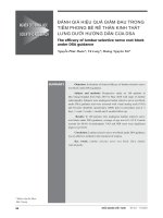 Đánh giá hiệu quả giảm đau trong tiêm phong bế rễ thần kinh thắt lưng dưới hướng dẫn của DSA