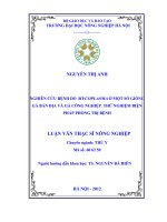 Luận văn thạc sĩ nghiên cứu bệnh do mycoplama ở một số giống gà bản địa và gà công nghiệp thử nghiệm biện pháp phòng trị bệnh 