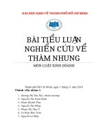 BÀI TIỂU LUẬN NGHIÊN cứu về THAM NHŨNG 