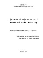Luận văn lập luận và biện pháp tu từ trong diễn văn chính trị 