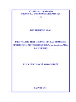 Luận văn thạc sĩ điều tra thu thập và đánh giá đặc điểm nông sinh học của một số giống bơ persea americana mills tại phú thọ 