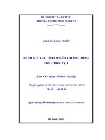 Luận văn thạc sĩ đánh giá các tổ hợp lúa lai hai dòng mới chọn tạo 